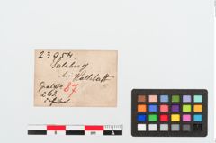 Etiketten zu Bronzebügelbesatzfibel (NHMW-PRAE-023954)